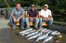 Men With Multiple Fish